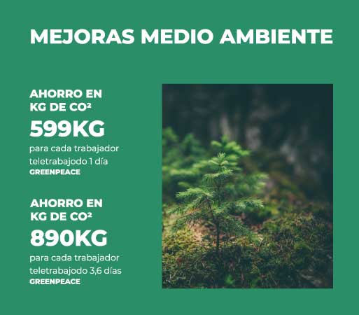 Blog-hybo-ahorro-trabajo-hibrido-medio-ambiente